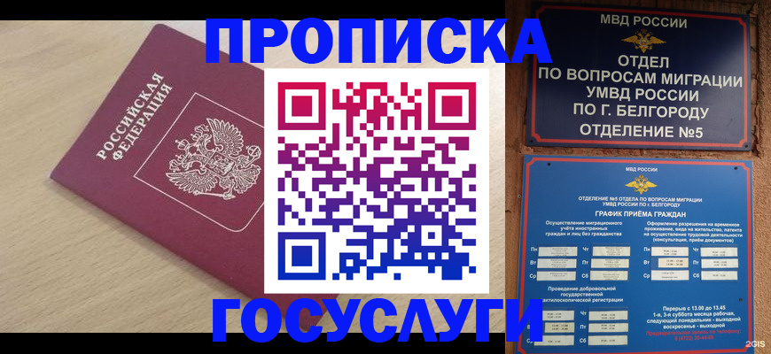 прописка законно в Шарье